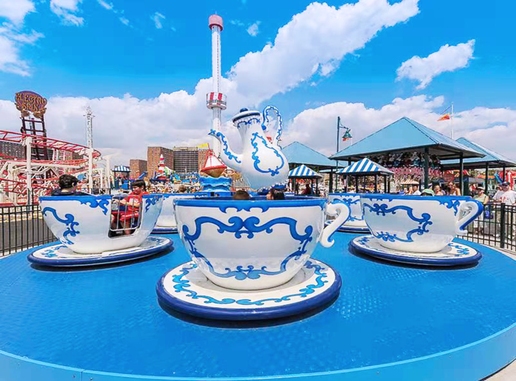amusement park products