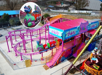 Family Roller Coaster